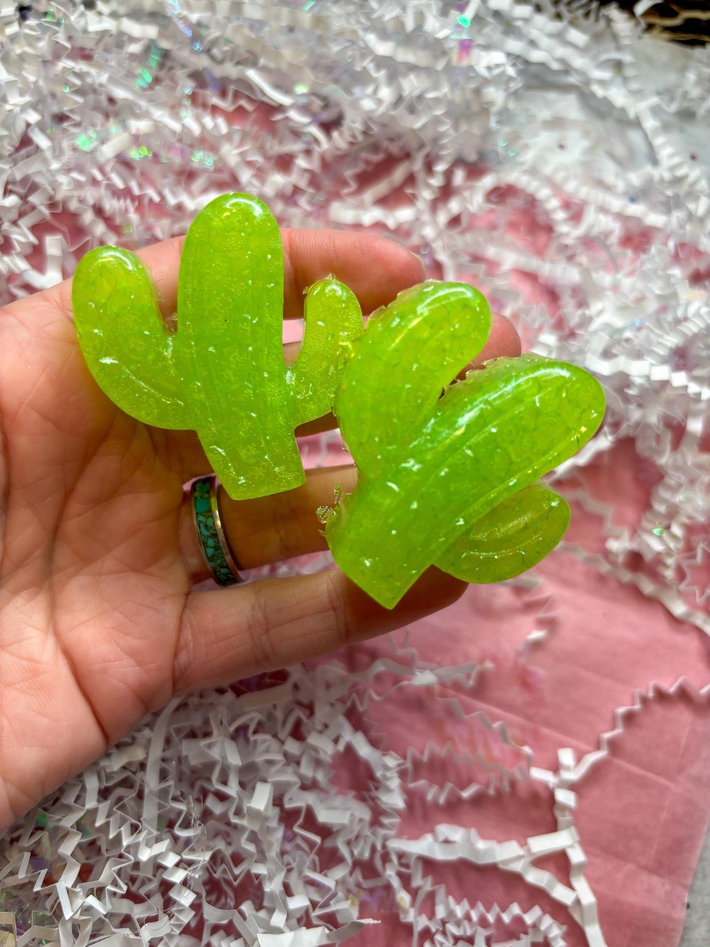Cactus Car Vent Clips